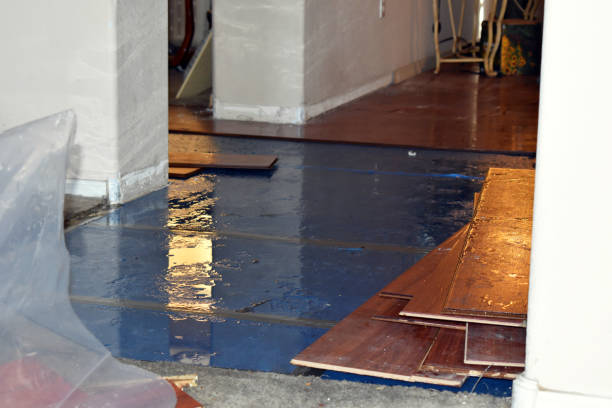 Professional Burst Pipe Cleanup technician working in East Orleans, MA